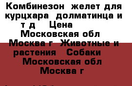 Комбинезон, желет для курцхара, долматинца и т.д. › Цена ­ 1 500 - Московская обл., Москва г. Животные и растения » Собаки   . Московская обл.,Москва г.